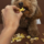 close-up-adorable-pet-eating