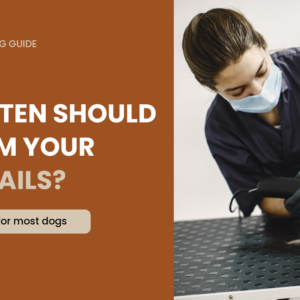 How Often Should You Trim Your Dog’s Nails?
