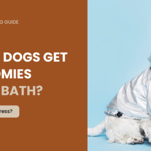 Why Do Dogs Get the Zoomies After a Bath?